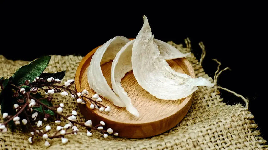 Sarang Burung Walet: Khasiat dan Manfaatnya untuk Kesehatan